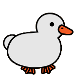 Adult Duck